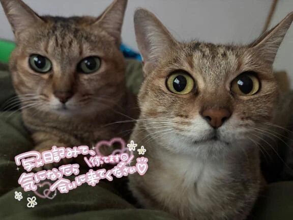 サンタ、、、♡