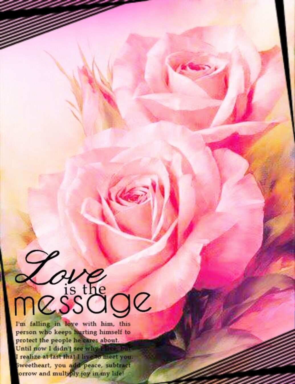 ♡♡♡♡ ♡♡♡♡