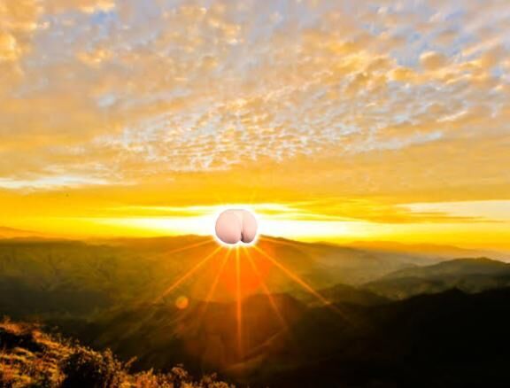 おはようございます