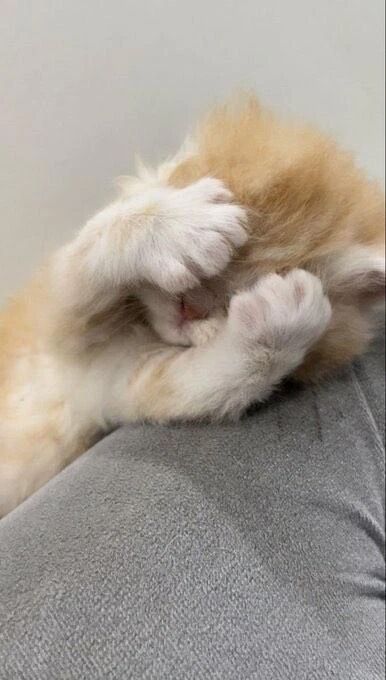 🌧️最終日なのに、、🌧️