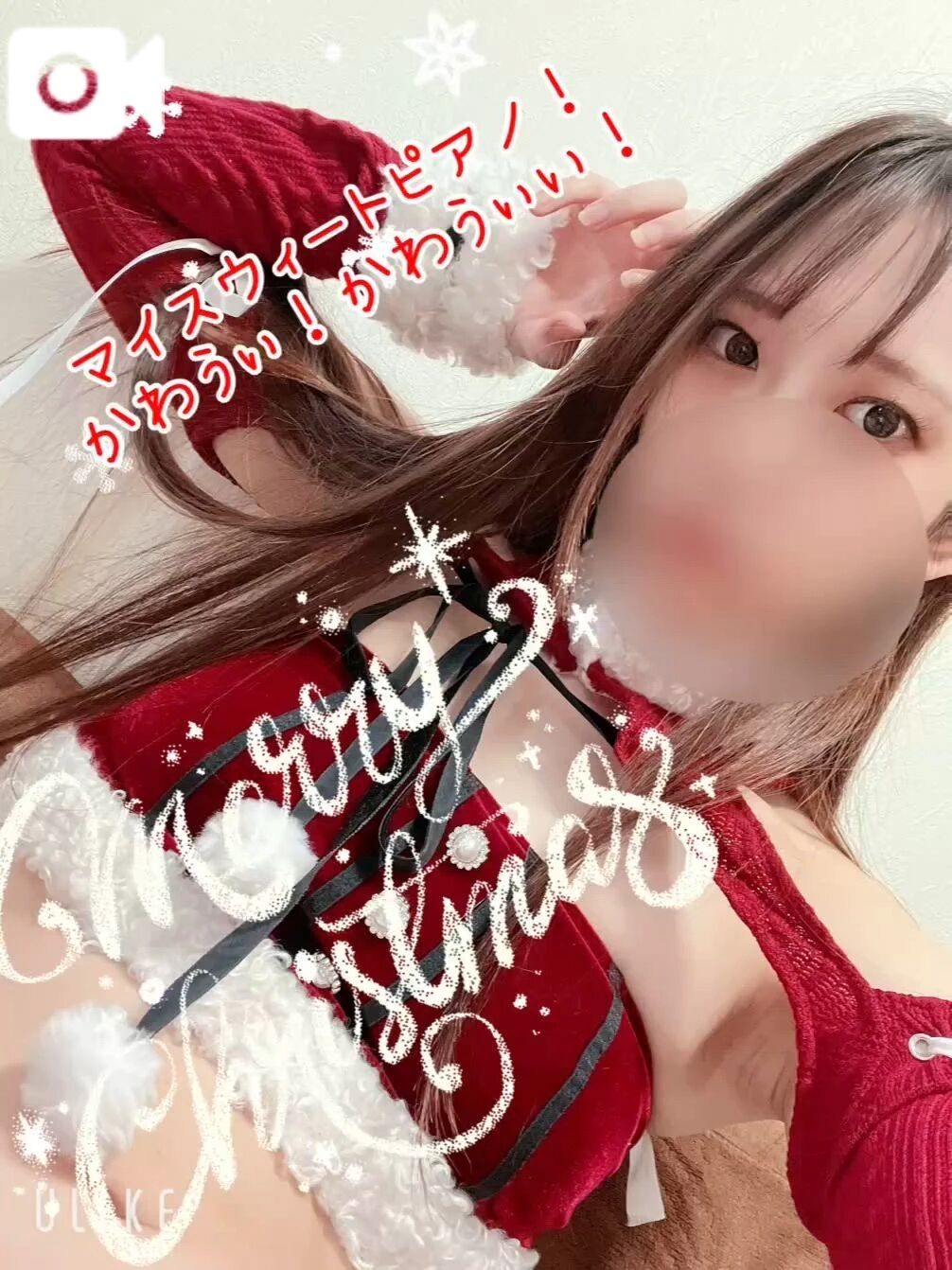 大出没❣️可愛いサンタ達🐱