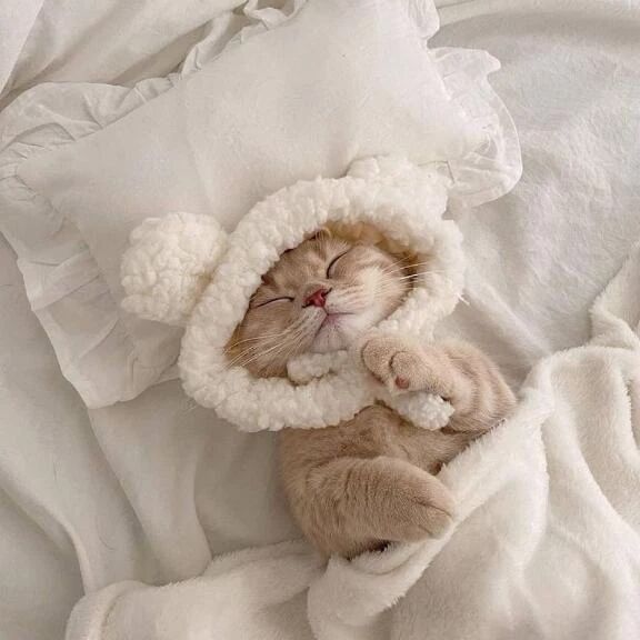 おやすみします