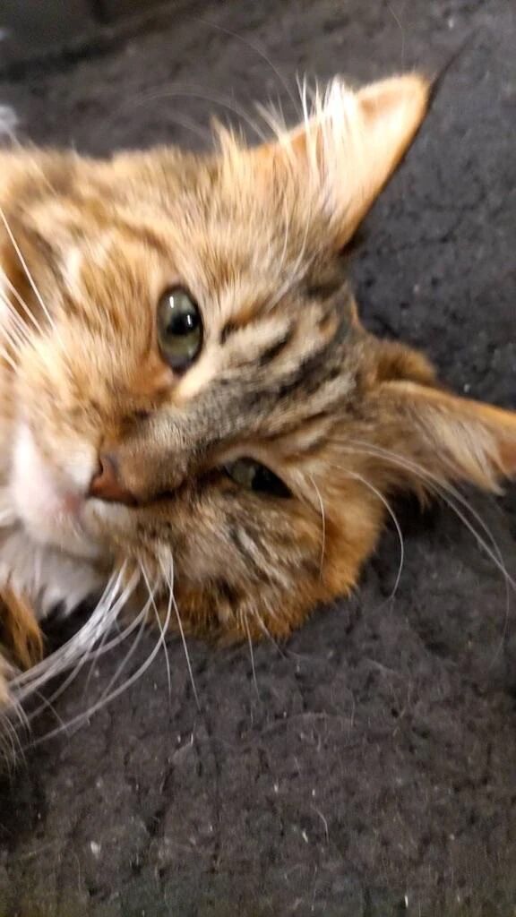 いやぁぁぁぁぁぁ😭