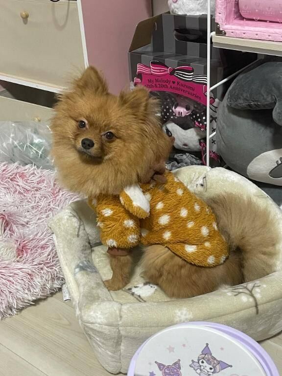 違うんだけど…