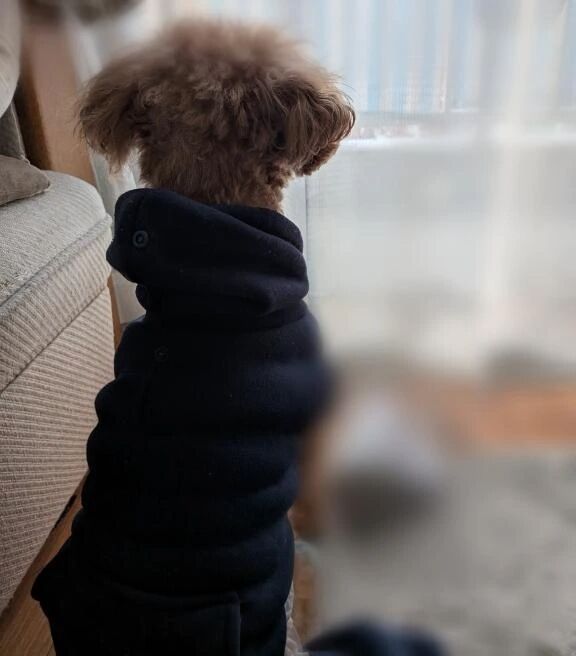 メリークリスマス🎄