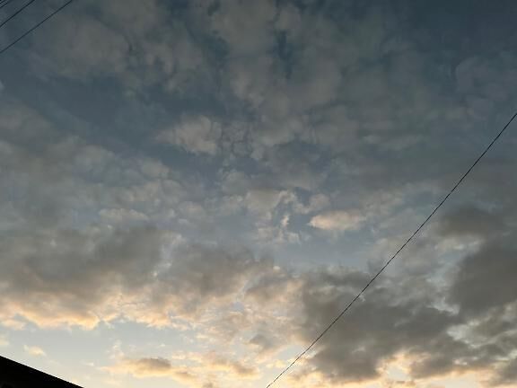 メリークリスマス