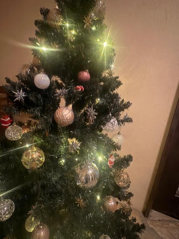 メリークリスマス♡