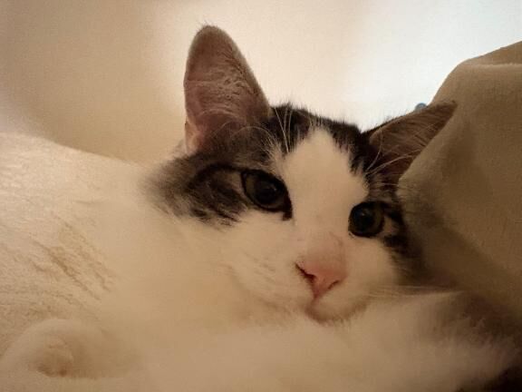 年末ルーム問題