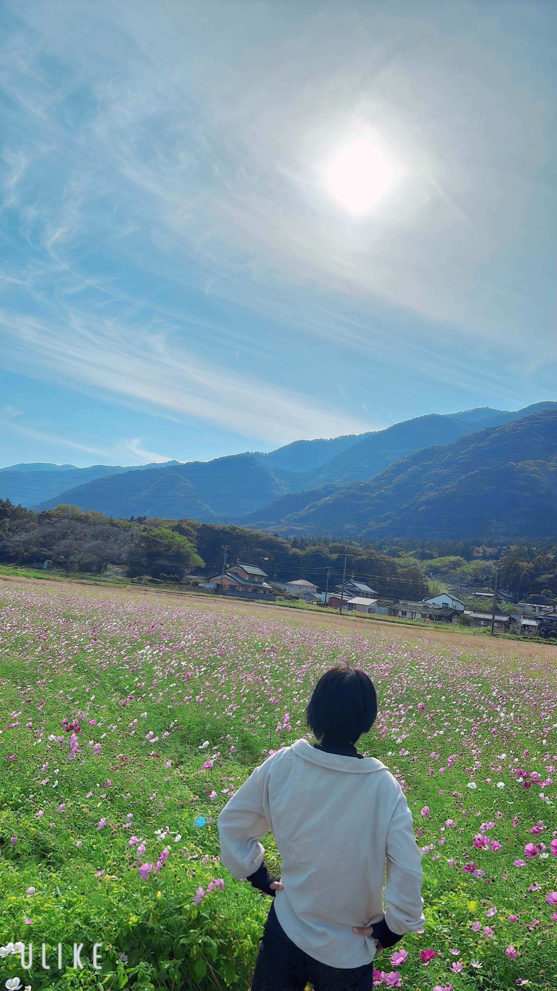 おはようございます☀︎