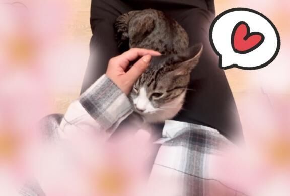 お久しぶりです♡お知らせです♡