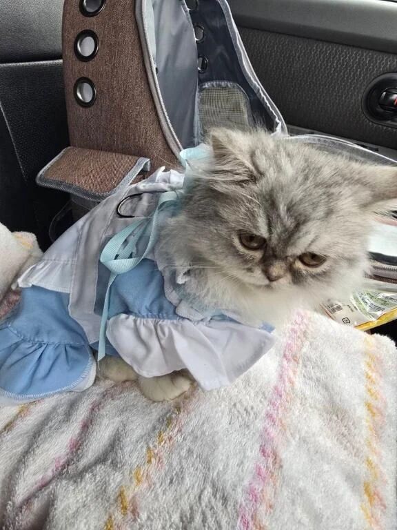 可愛いのぉ&hearts;️