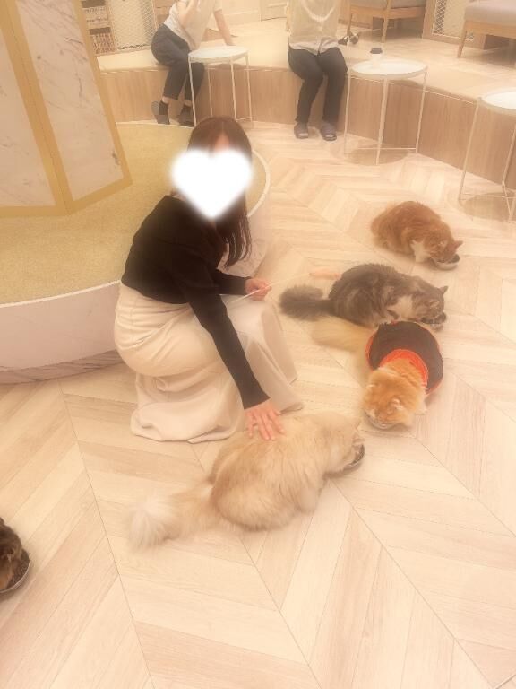 やっと真冬到来？