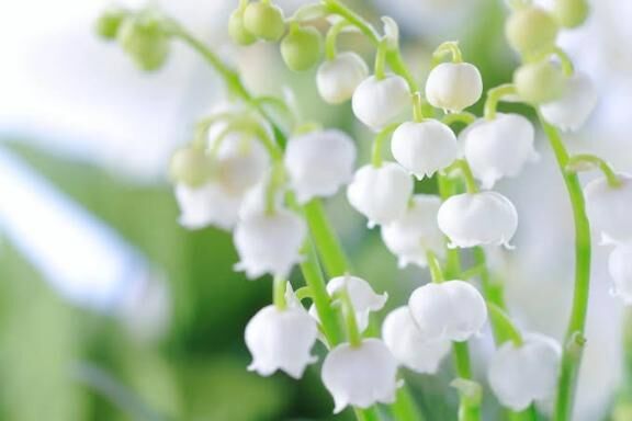 おはようございます♡