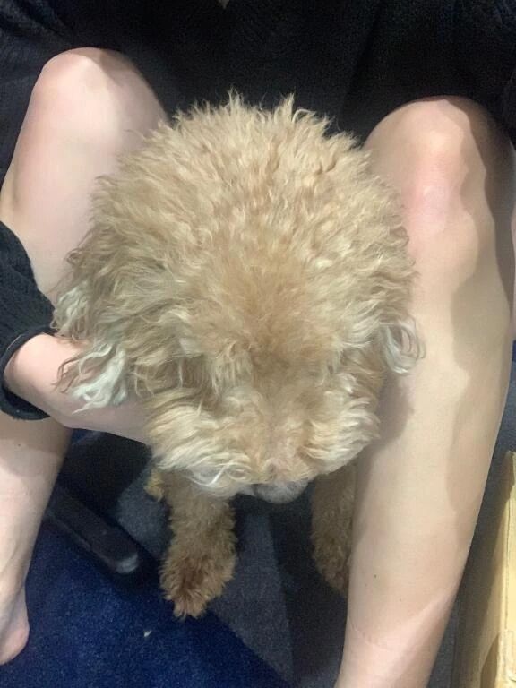 終了‼︎＾＾❣️