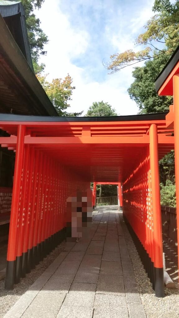 ありがとう御座いました♪