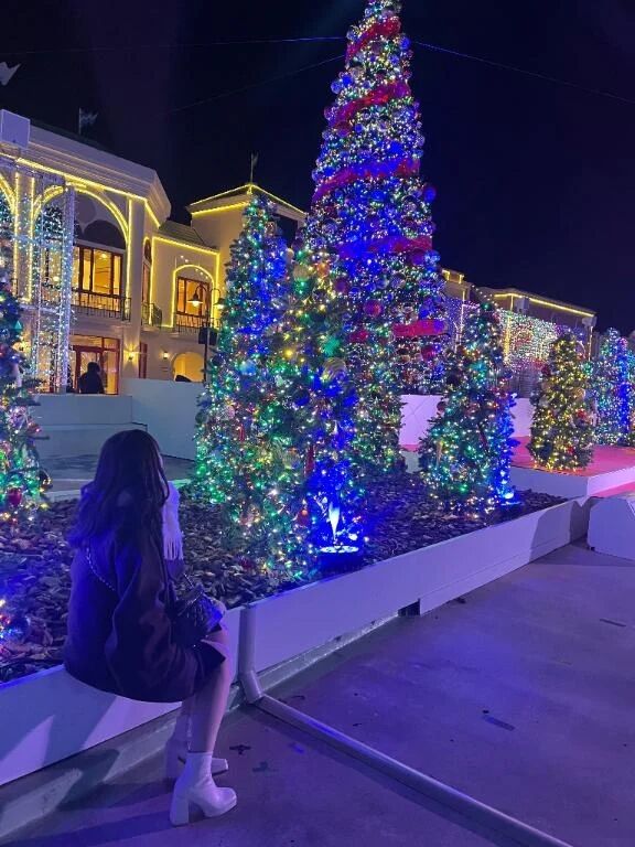 おはよう(｡･∀･｡)ﾉ