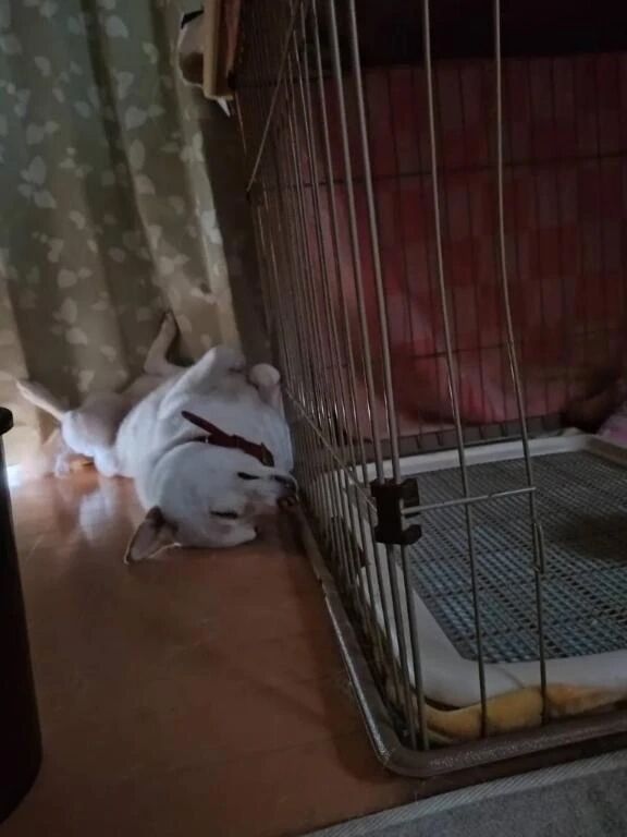 2025年もありがとう♡♡