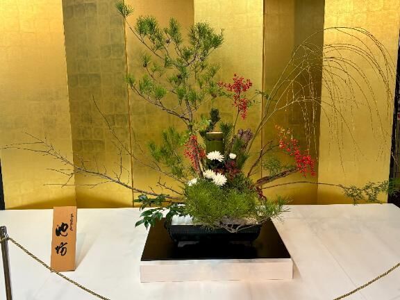 あけましておめでとうございます♡♡