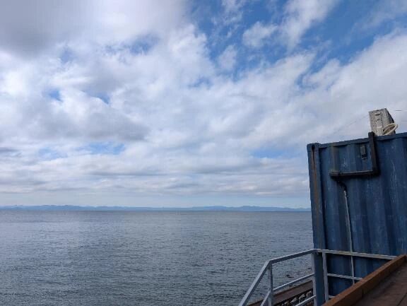 明けましておめでとうございます！