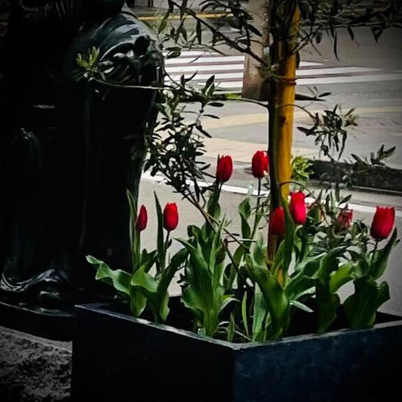 ちょっとした余韻