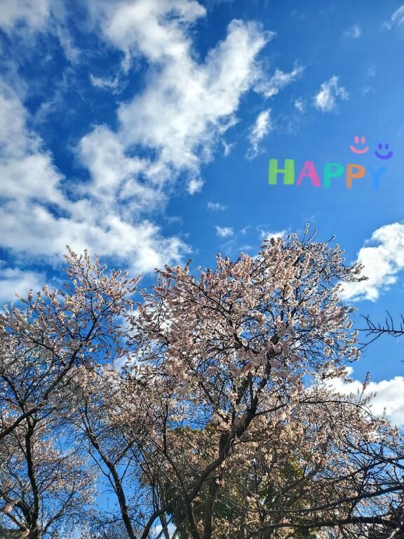 おはようございます♪