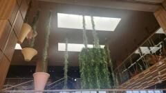 楽スパガーデン