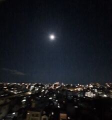 あまりに美しい