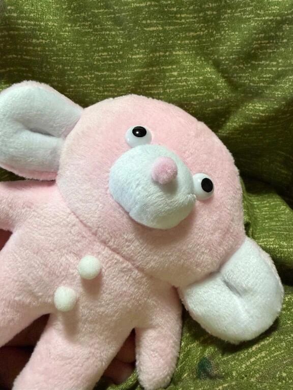 20日からです☺️