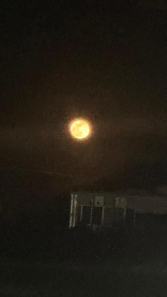 今年もよろしくお願いします