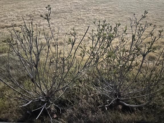 あけましておめでとうございます♡.♡