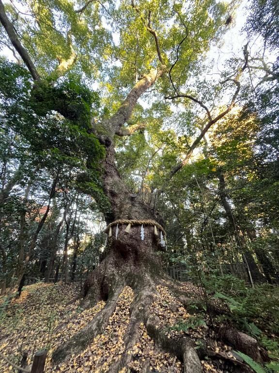 大倉-やってしまった♡