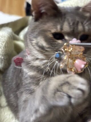 間に合わないので🫠