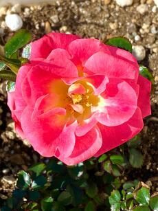 ありがとうございます&hearts;️