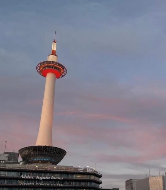 おやすみなさい