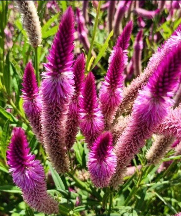 💕ありがとう💕