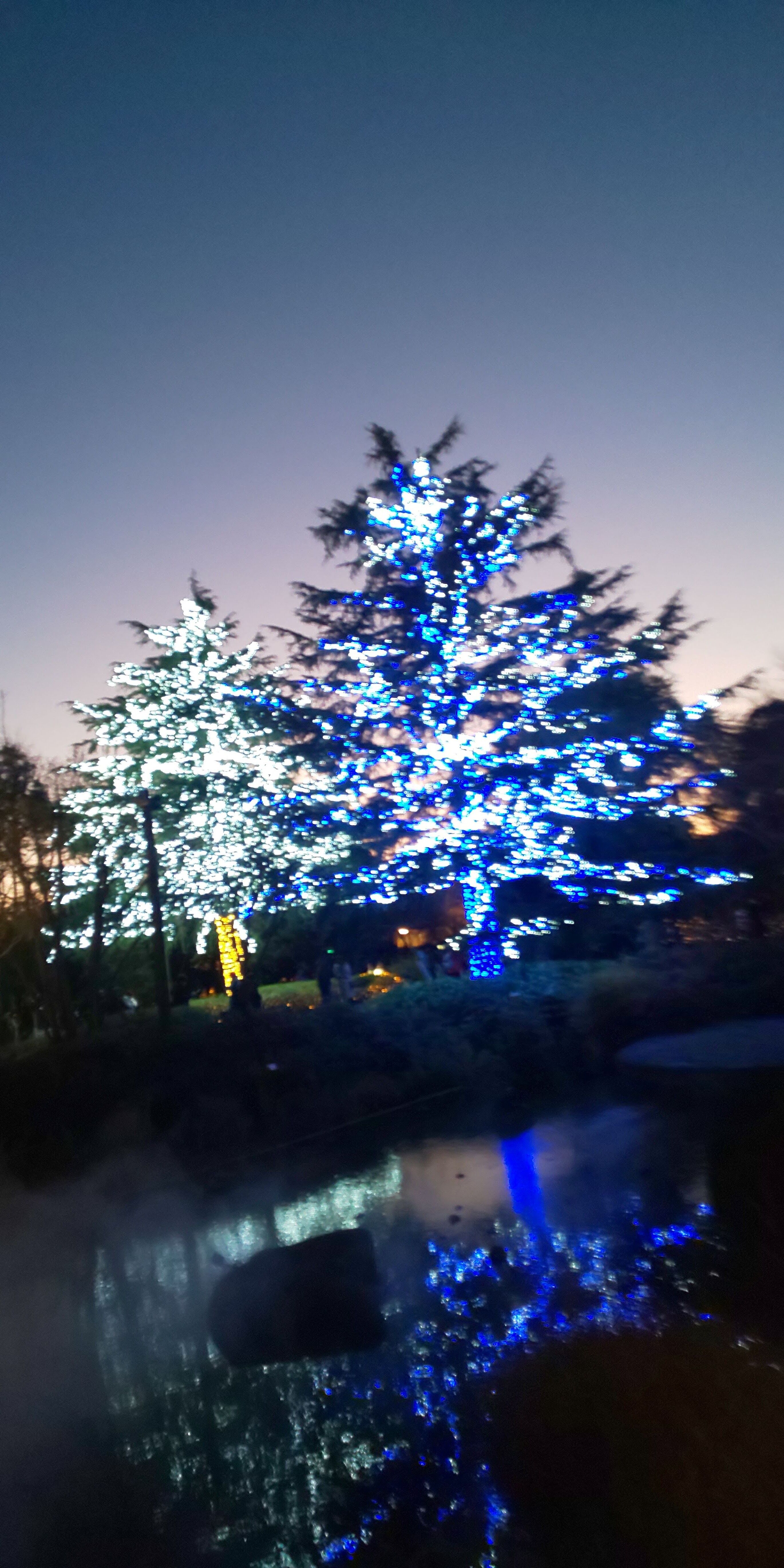 ありがとうございます