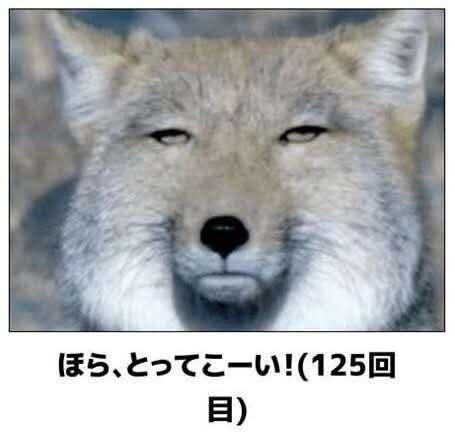 出勤しました♡