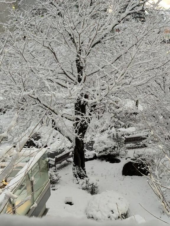 おはよのございます〜♪