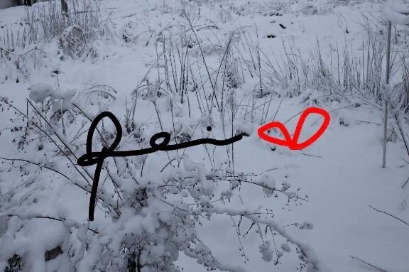 防寒しすぎたかもだよ…