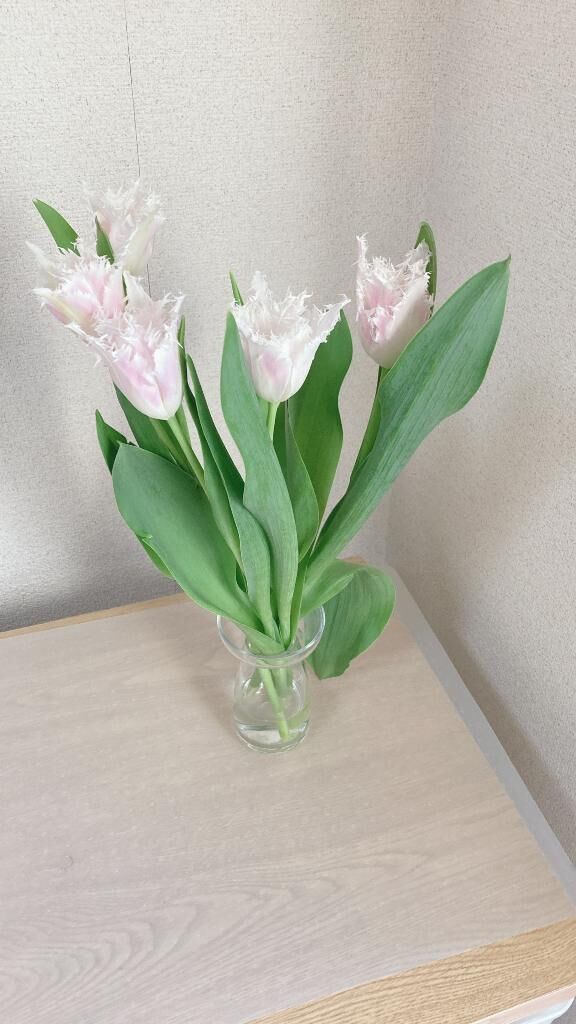 本日出勤します