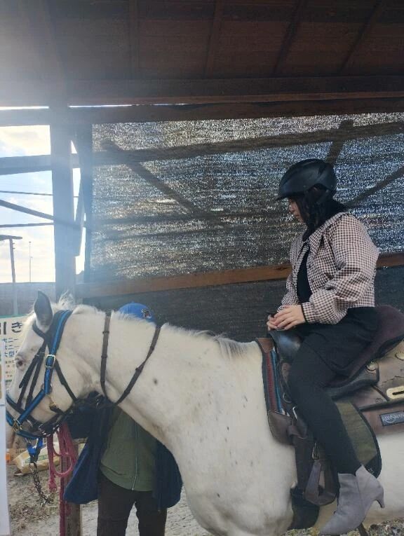 今年は馬のごとく