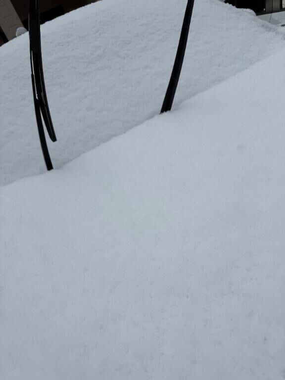 雪だぁ♡♡♡♡