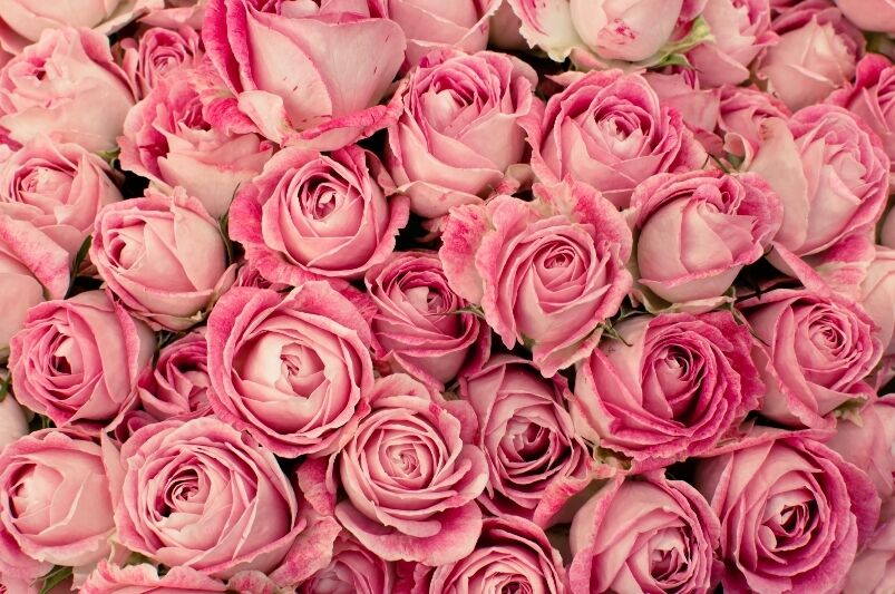 ご挨拶遅れました🌲