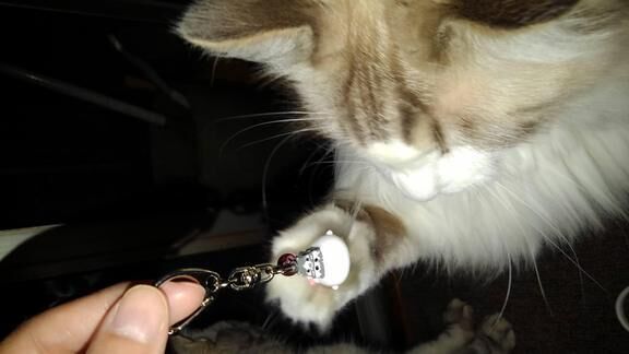 ノン・ストレス