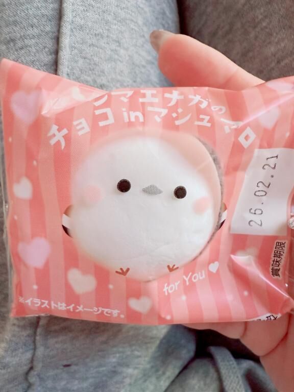 こんばんは♡*ﾟ