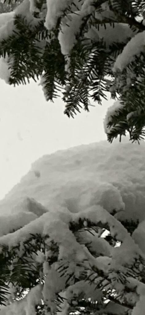 ゆきだるまつく〜ろ〜♡♡