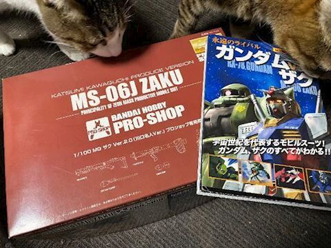 ありがとう♡♡