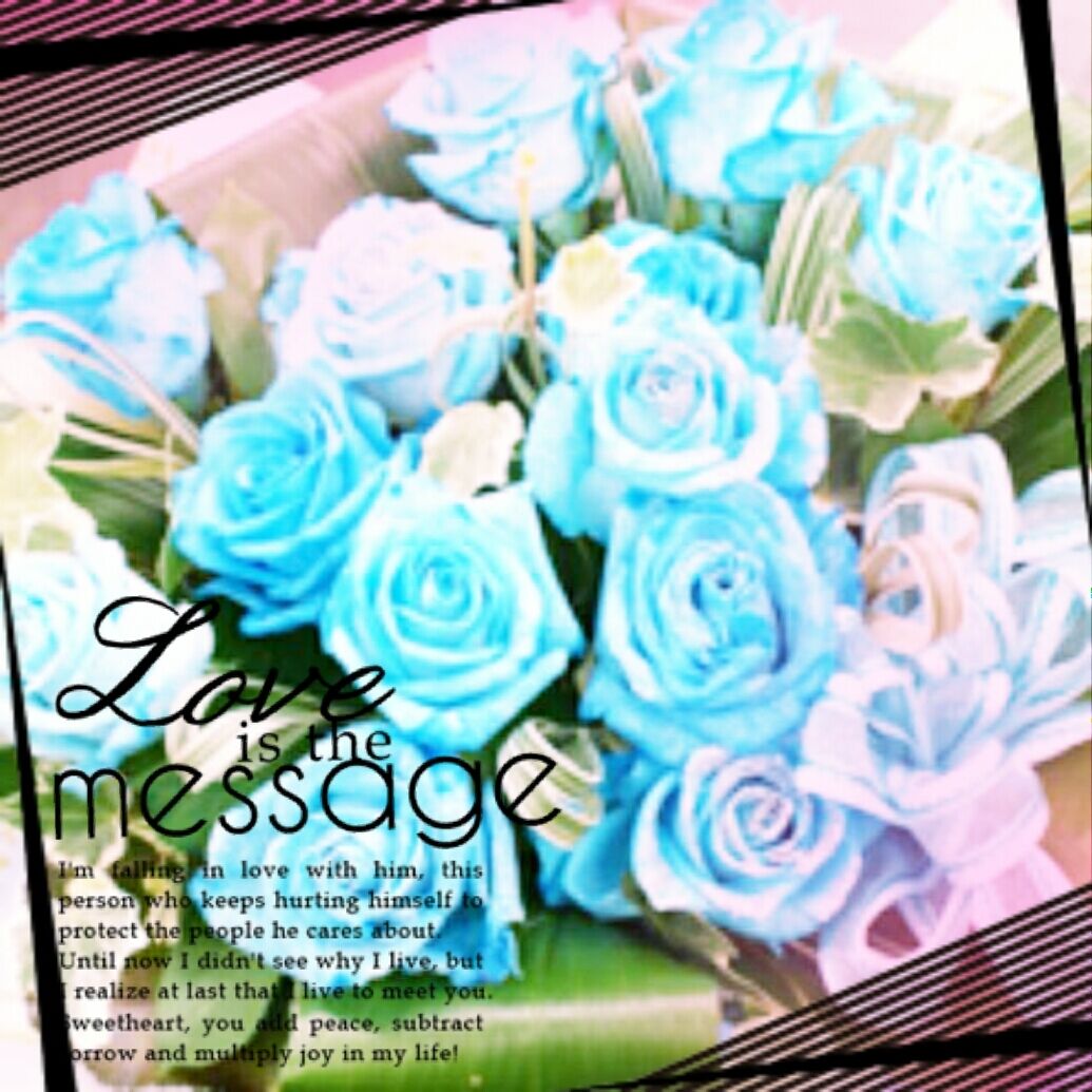 ♡♡♡♡ ♡♡♡♡