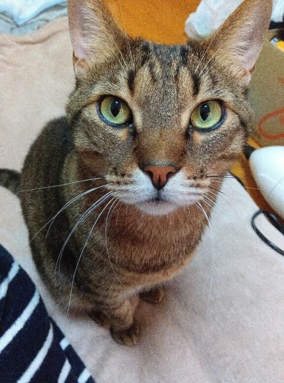 おはようございます