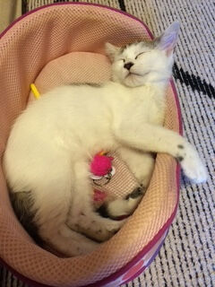 ★今日のお礼(^^)